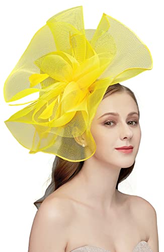 RZTA Women's Fascinators Hat for Women Tea Party Headband Wedding
