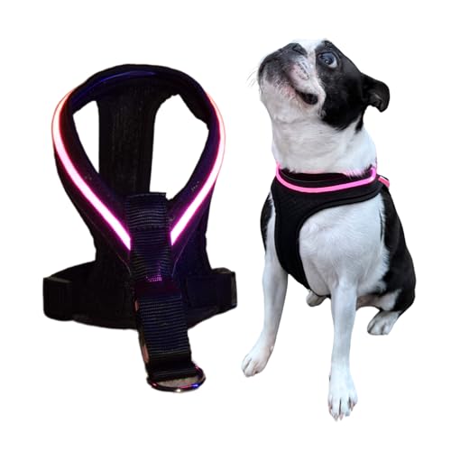 Dot Family sJn[lX n[lX p LEDCg UCg  U ̖h~ dr [dsv F320m ȒP yʐ݌v S M LTCYΉ (sN, M)