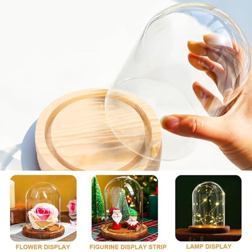 Cloche en verre pour objets de collection pour protéger de la poussière - 5