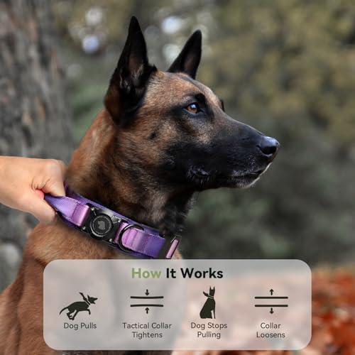 Image of 2026 Upgrade Waterproof Tactical AirTag Dog Collar, Built in AirTag Holder