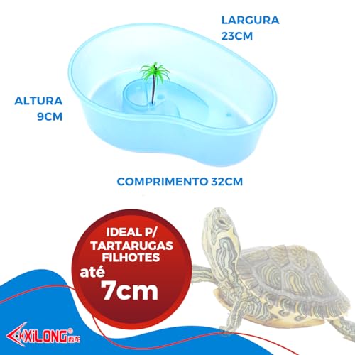 Aquario Para Tartaruga Ilha com Coqueiro e Rampa - Cód.d5p5 (Médio)