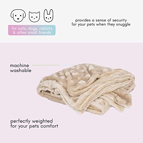 Petique The Velvet Blanky Pet Blanket, Super Soft Cat And Dog Blanket, Double Sided Plush Polyester, Cute Paw Print Design, Reversible, Machine Washable, Large Fleece Kitten And Puppy Blanket #TOP1