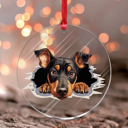 Peeking Doberman Pinscher - Adorno de Navidad con imágenes de animales coloridos, adorno redondo para árbol de Navidad, recuerdo de perros y gatos, bola de Navidad acrílica para decoración interior