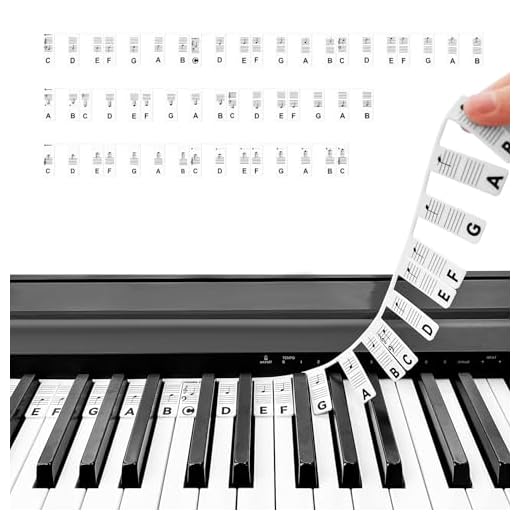 Guía de notas de piano WLLHYF para principiantes, etiquetas de notas de teclado de silicona portátiles, reutilizables, 88 teclas, tamaño completo