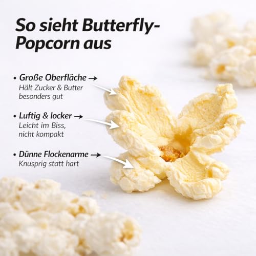 Hopser Food Fun Premium Butterfly Popcorn Mais 1000g XL 1:46 Popvolumen mit Aromaschutzverpackung GMO Frei