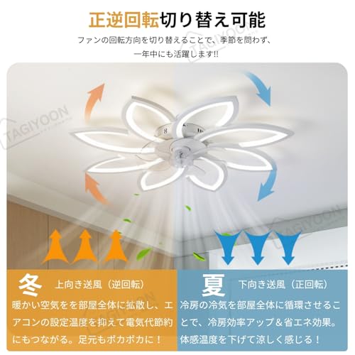 TAGIYOON シーリングファンライト YT06 の商品画像 1