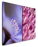 Mit Fine Art Prints von Sinus Art bietet sich eine einfache und wunderbare Möglichkeit Ihre Wohnräume zu gestalten. Verschönern Sie Ihr Wohnzimmer, Schlafzimmer, Kinderzimmer, Küche, Flur, Arbeitszimmer oder Büro und gestalten sie sich Ihr persönliches Wohlfühlambiente.