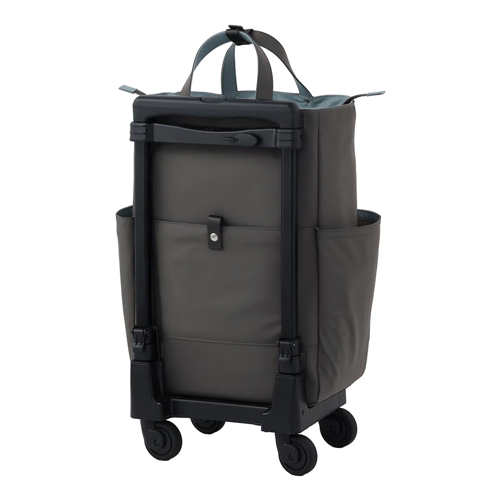 Amazon.co.jp: SWANY スワニー キャリーバッグ D-685 グイ L21 グレー