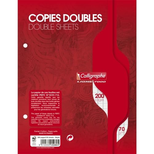 Doppelkopien 7000 170 x 220 cm, 200 P./100 Blatt perforiert 70 g/m2, Farbe Weiß, Selyès – 10 Stück