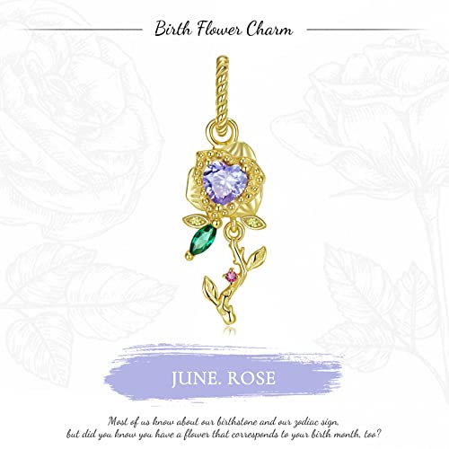 Dije plata ley 925 flor de diciembre para llevar en tus collares del día a día 2