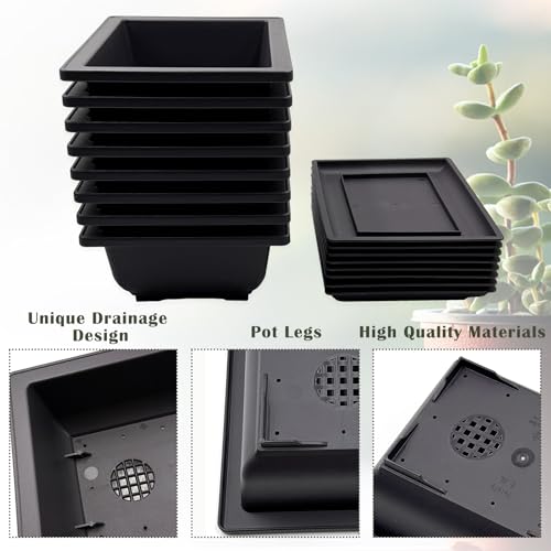 Pots de bonsaï rectangulaires en plastique avec coupelles | Lot de 8