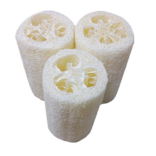 Beaviety 3pcs Sponge Gourd Eco Friendly Creative Cleaning Cloth Brush Natural Loofah Kitchen Cleaning Cloth With Non-stick Oil Function For Kitchen, Dishes, Bathroom