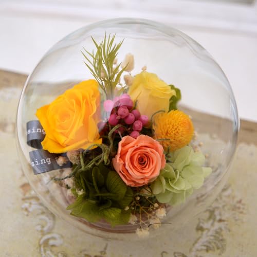 vU[uht[ KXh[ Mtg{bNX P  Mtg {gt[ KX a KX j  AeB[N  v[g (CG[box)