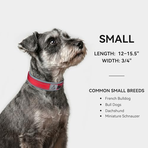 Image of Joytale Dog Collar for Small Dogs, Neoprene Padded and Adjustable, Reflective Wide Heavy Duty Pet Collars with Durable Metal Belt Buckle for Walking, Red, S