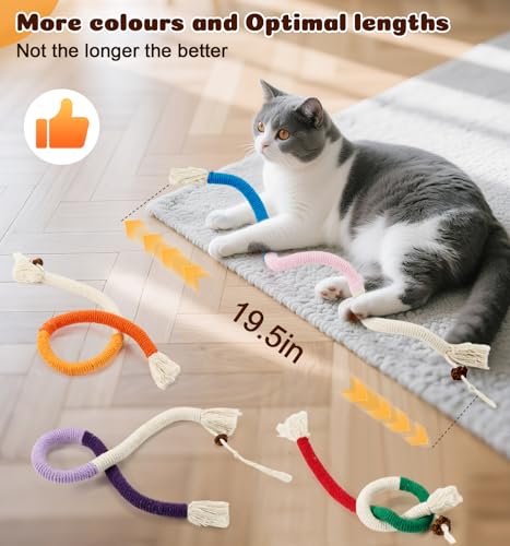 image for Dgerp Cat Chew Ropes 4Pcs, Cat Toys for Indoor Cats with Refillable Na