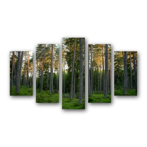 Tableau sur Toile Forêt de Pins Ensoleillée pour illuminer un salon contemporain ou une chambre