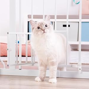 Carlson Extra Wide Walk Through Pet Gate with Small Pet Door, Includes 4-Inch Extension Kit, Pressure Mount Kit and Wall Mount Kit,White Carlson Extra Wide Walk Through Pet Gate with Small Pet Door, Includes 4-Inch Extension Kit, Pressure Mount Kit and Wall Mount Kit,White