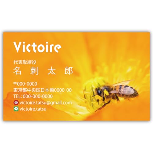 h쐬 h i 100 Ж tJ[ P[Xt No.2202