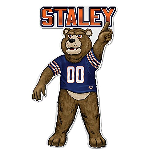Fanion Chicago Bears Rico Industries cadeau idéal pour un fan de sport US