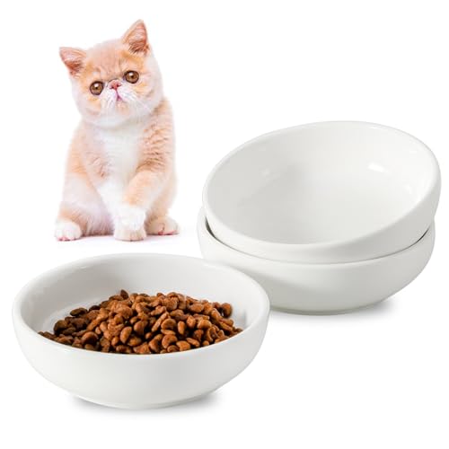 Howise 5.3 in Ceramic Cat Dishes - Shallow Food Bowls for Small Pets, 3 Pack for Food and Water -White