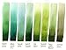 DANIEL SMITH 284600142 Extra Fine Watercolor 15ml Paint Tube, Cascade Green, 0.5 Fl Oz (Pack of 1)