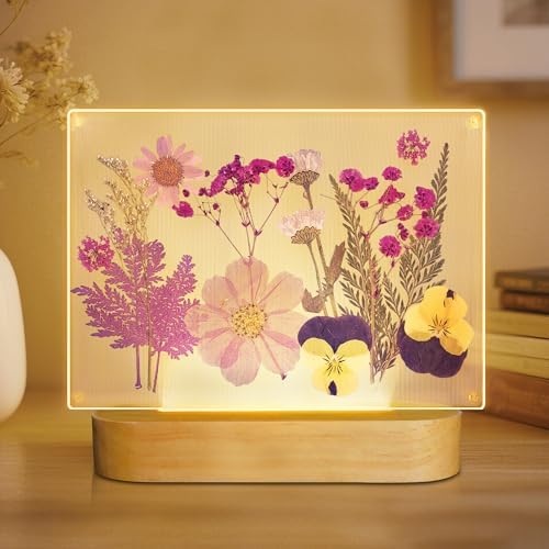 Amazon.com - Okayera Dried Flowers Picture Frame Night Light, DIY ...