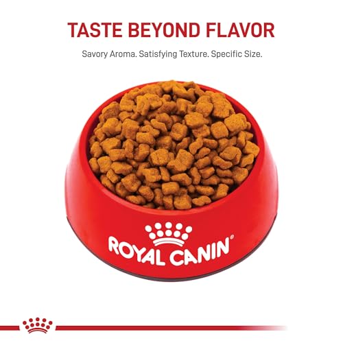 ROYAL CANIN Breed Health Nutrition Bulldog Puppy Dry Dog Food, 6-Pound by Royal Canin