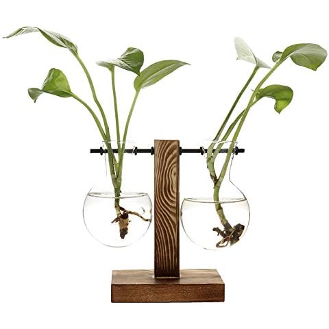 Stand Glass Planter Bulb Vase,ADSRO Glass Flowerpot with Vintage Wood Frame Holder for Hydroponic Plant Family Garden Wedding Decoration - (2 Bulb Vase) Cover