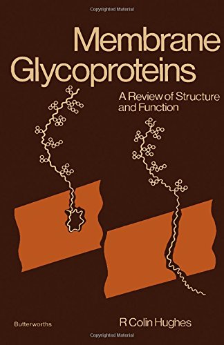 Membrane glycoproteins: A review of structure and function: Hughes, R ...