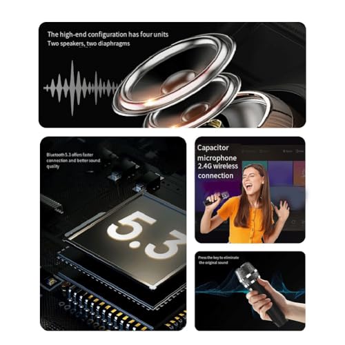 Enceinte Bluetooth Puissante SD306plus Double Micro Haute Fidélité Portable pour Fêtes - 7
