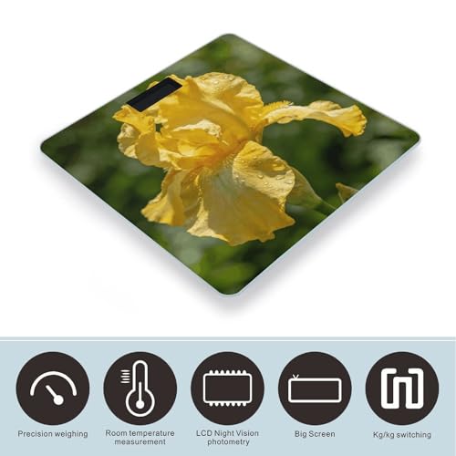 Báscula digital para baño resistente y precisa con pantalla LCD miniatura 3