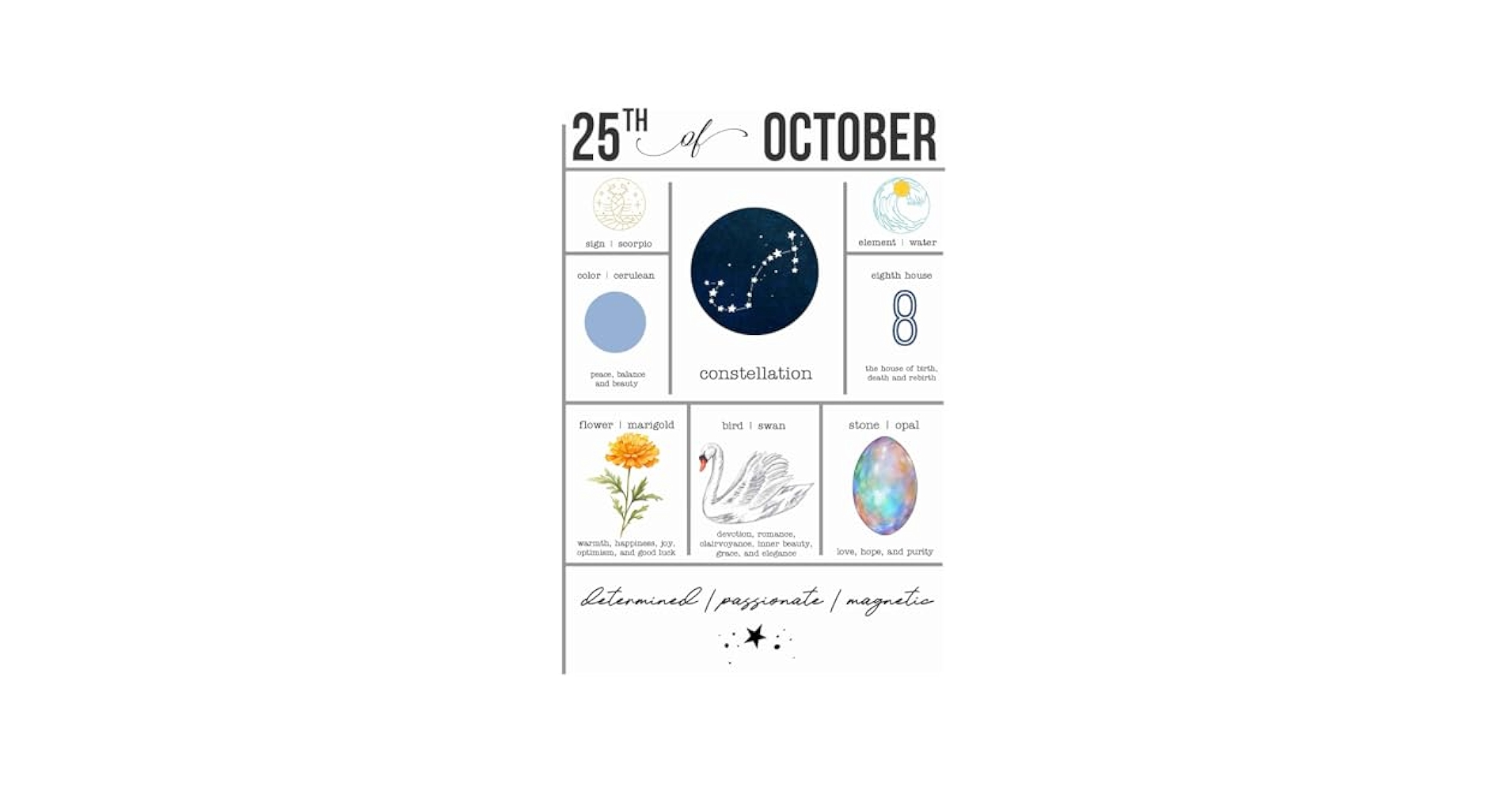 ⭐︎Novelbright⭐︎ねぎ2022BIRTHDAY GOODS Novelbright Official Fanclub『NOVELCITY』会員限定《ねぎ