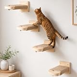 4 Stück Katzentreppe Wand – Kletterwand Katzen aus Massivholz 21cm bis 35kg