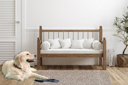 Andiamo Zerbino, Tela, Beige Chiaro, 67 x 180 cm