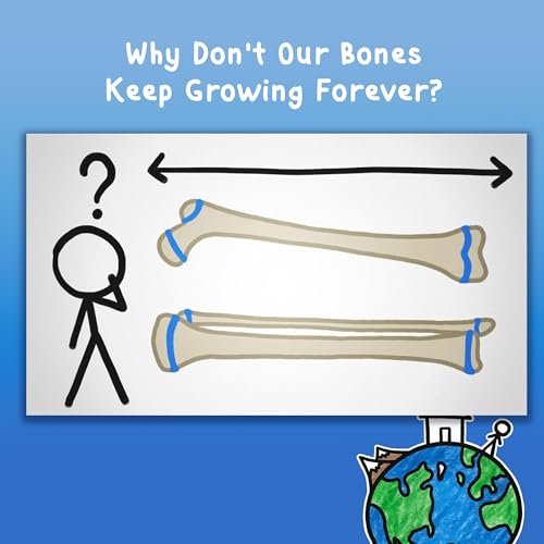 Why Don't Our Bones Keep Growing Forever?