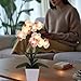 HOMESEASONS Orchid Lamp-LED Lighted Orchid Arrangements,Pre Lit Artificial Orchid,Light Up Flower Lights, Faux Orchid Phalaenopsis Arrangement (White)