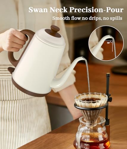 Gooseneck Electric Kettle Variable Temp