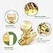 Litorange 2 Pack Heavy Duty Brass Replacement Control Needle Valve 1/4