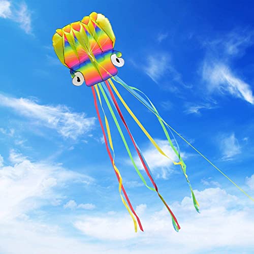 Cerf-Volant Simple Ligne 5M Grand cerf-Volant Poulpe, Grand cerf-Volant Arc-en-Ciel Facile avec de Longues queues colorées pour Les Jeux et Les activités de Plein air pour Adultes Cover