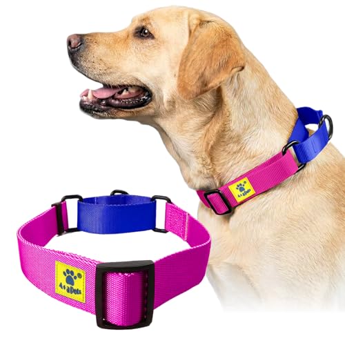 Image of A+a Pets Martingale Dog Collar | No Pull Design, No Neck Strain, No Choke Design | for Large & Medium Dogs | Rust Free, Waterproof Nylon Training Collar (Pink & Blue), 30 x 2.5 Cm