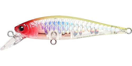 LUCKY CRAFT B'Freeze 65SP, JDM, Jerkbait, Trout Fishing Lure, Freshwater