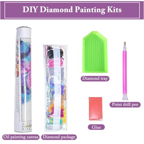 Image of HASTHIP DIY Diamond Painting Kit, Fashion Outline Diamond Painting Kit Diamond Painting Wall Decor DIY Diamond Painting Kit Art DIY Diamond Painting Wall Decor Gift, 11.8x15.7 Inches