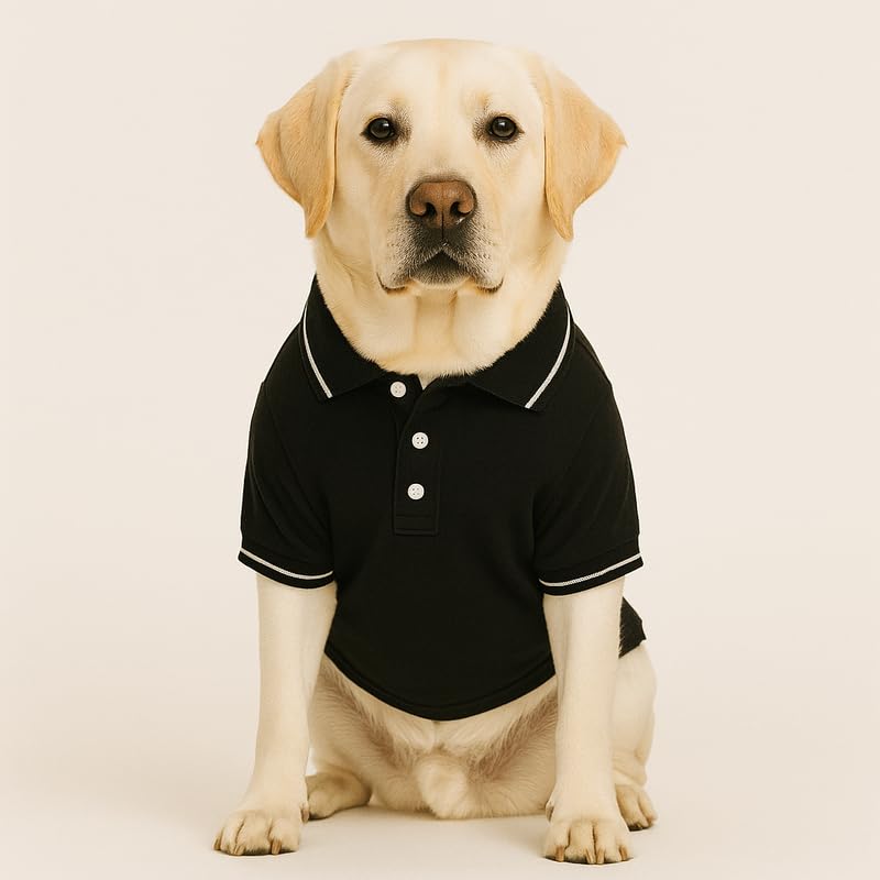 Image of Thunder Tails Premium Cotton Polo Dog T-Shirt | for Medium Dogs | Black | 3XL | for Boxer, Pitbull, Indie, Hound, Doberman & Dalmatian