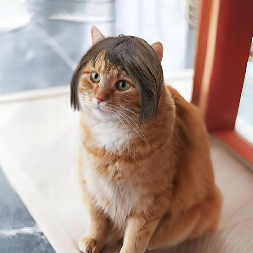 Peruca engraçada para cães e gatos – corte de cabelo marrom com franja, fantasia de animal de estima