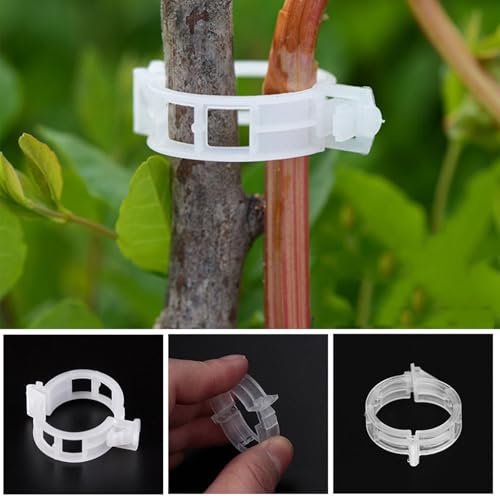 HFMYGS 100 Stück Pflanzenklammern Tomatenclips, Tomatenhaken, Pflanzenclips, Pflanzen Clips Kunststoff, Pflanzen Klammern, Kunststoff Tomatenklammern, Blumen Klammern für Tomaten Rankhilfe