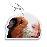 WIRESTER Hanging Air Freshener for Car, Home, Bathroom, Office, Decorative Charm Ornaments, Black...