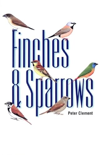 Finches and Sparrows