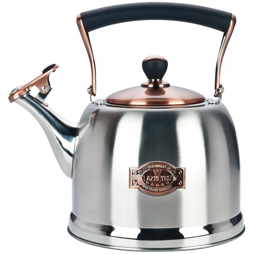 Lazneyru 3.0 Quart Kettle