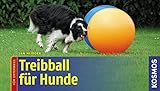 Treibball fuer Hunde