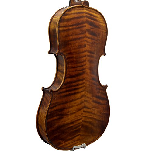 Paititi 4/4 Full Size Ptvnsh100 Premium Hand Carved Ebony Fitted Violin Outfit With Case, Bow, String, Tuner, Mute And Rosin #TOP11